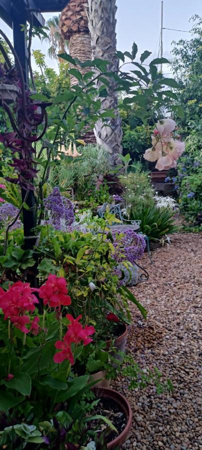 Casa Flora Garden Studio Sauzal Luaran gambar