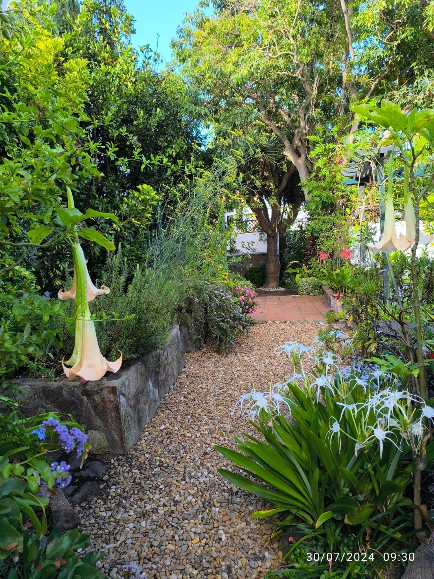 Casa Flora Garden Studio Sauzal Luaran gambar