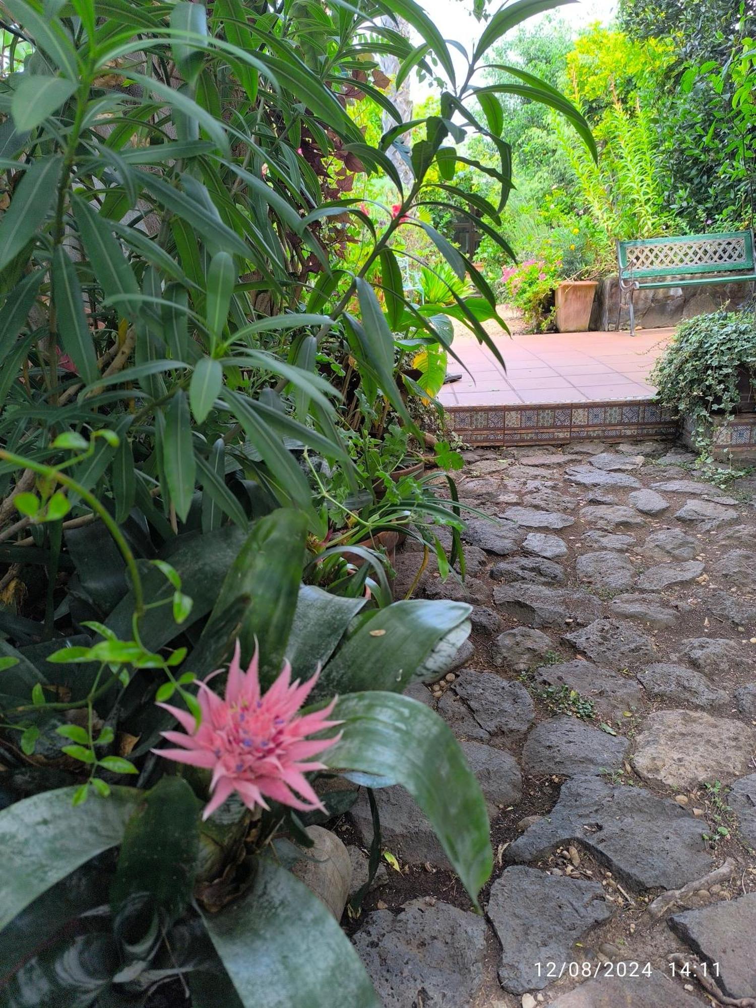 Casa Flora Garden Studio Sauzal Luaran gambar