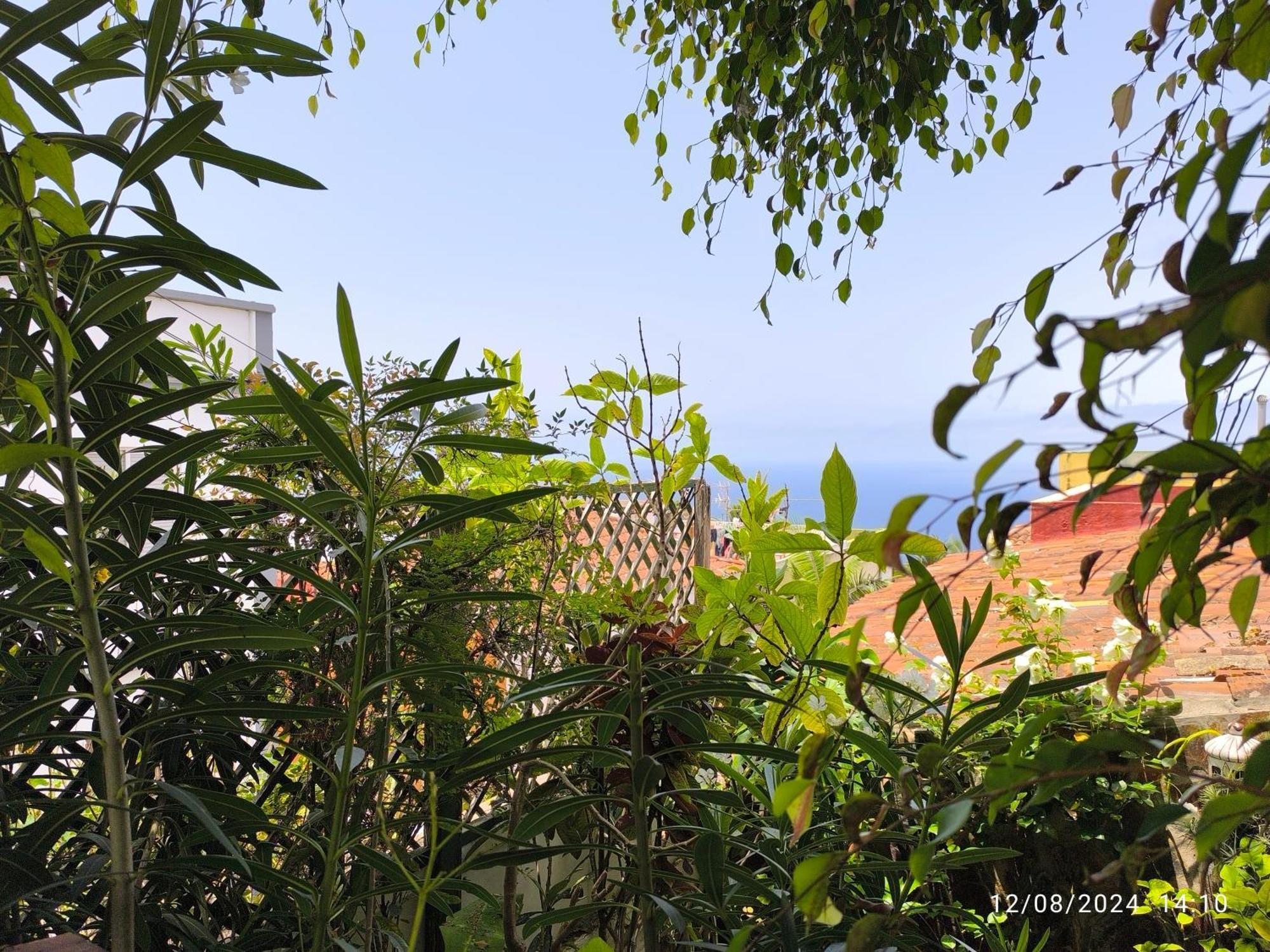 Casa Flora Garden Studio Sauzal Luaran gambar